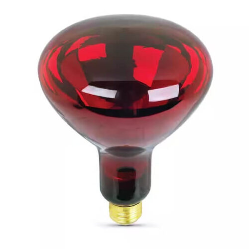 lamp lamp